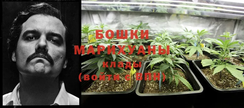 Бошки Шишки THC 21%  Красногорск 